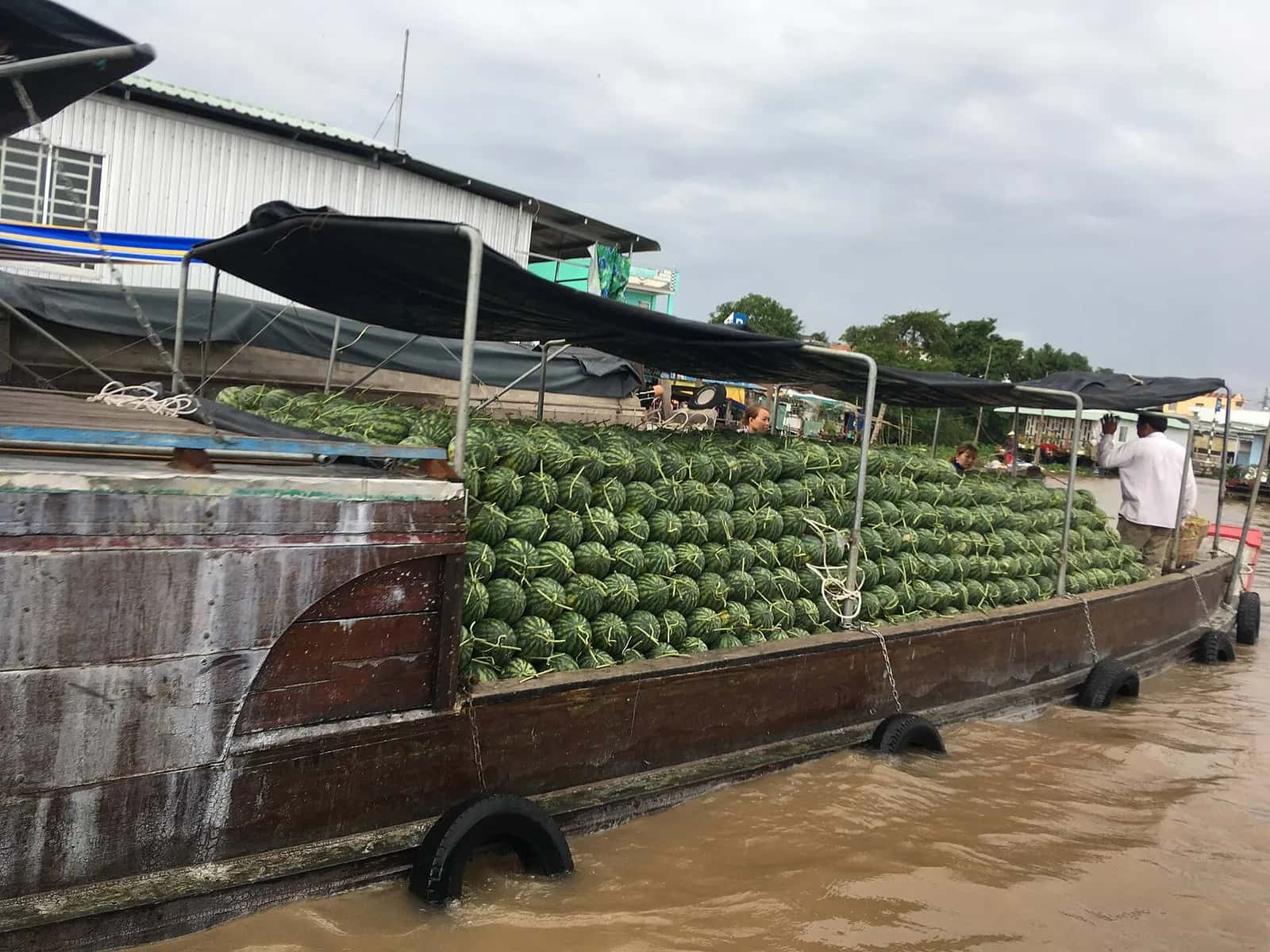 the Mekong Delta