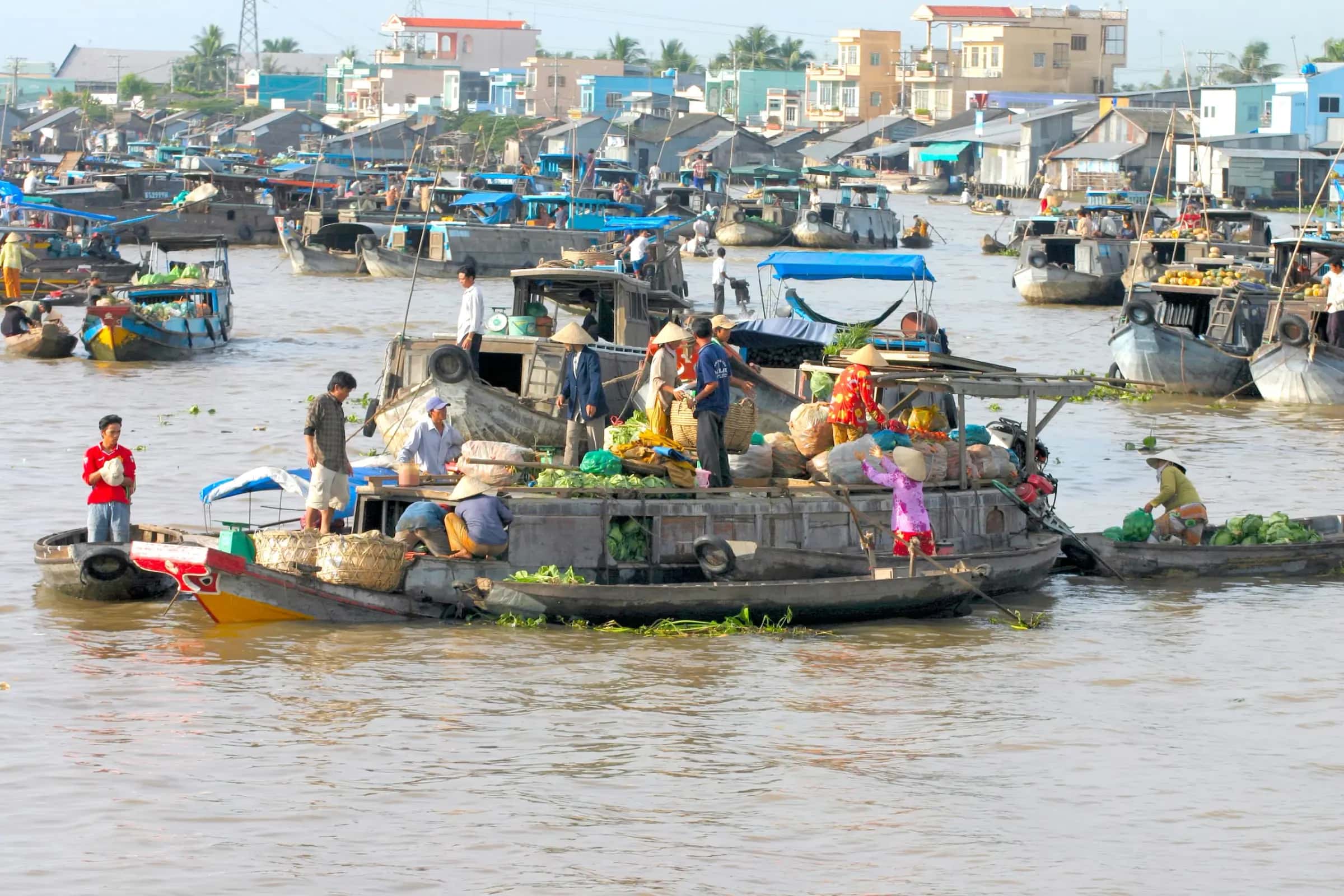 the Mekong Delta