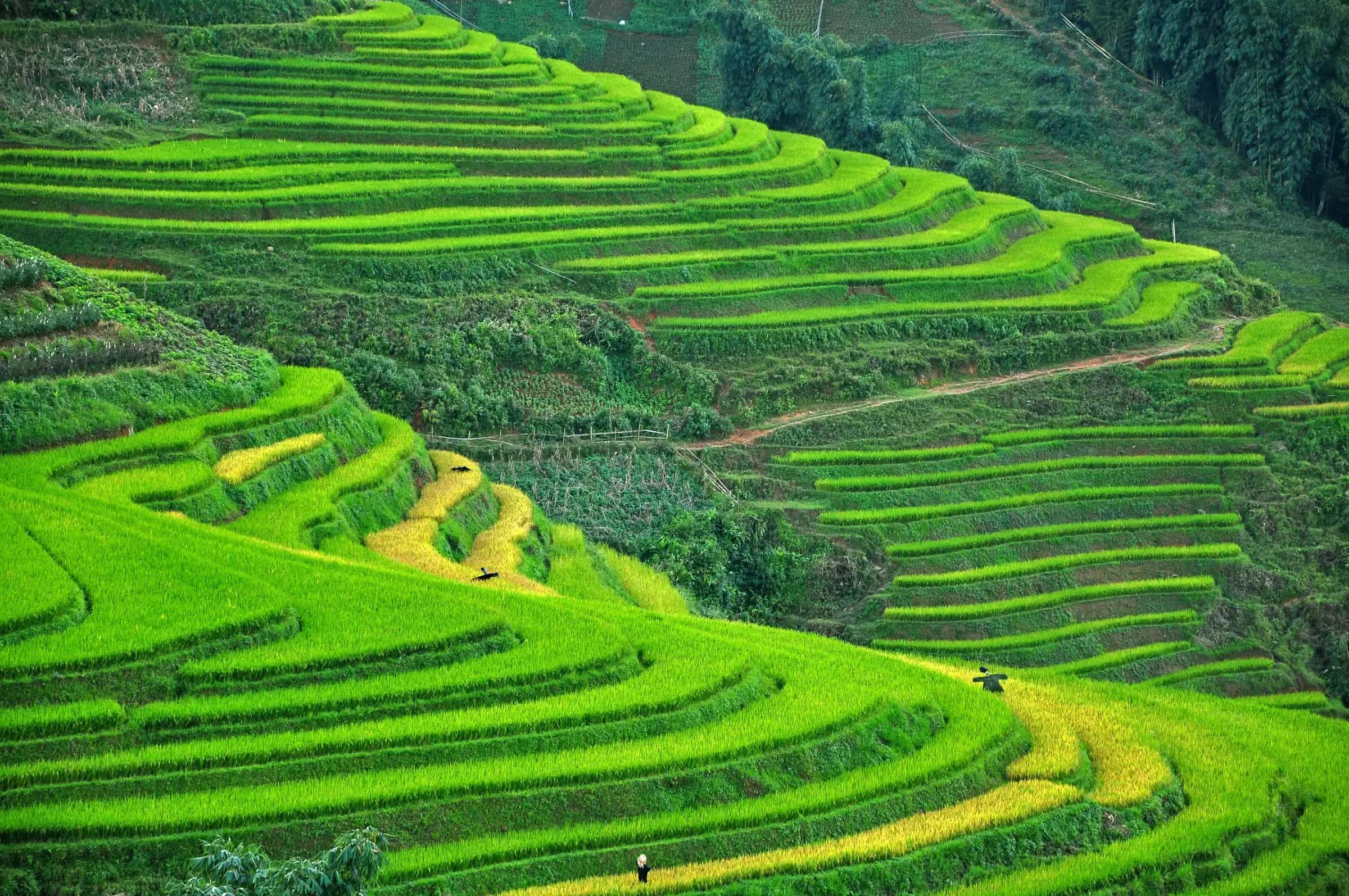 Sa Pa