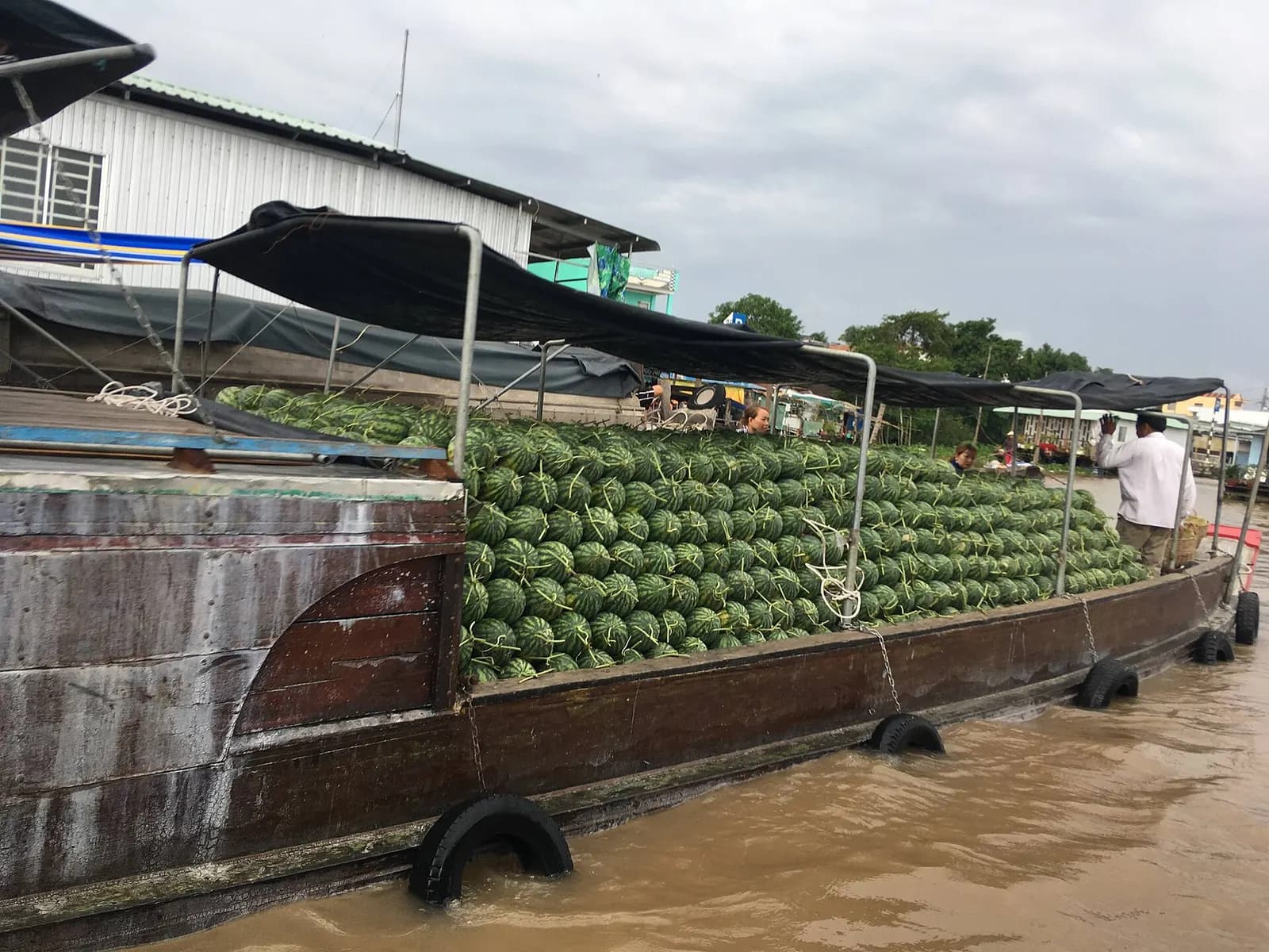 the Mekong Delta