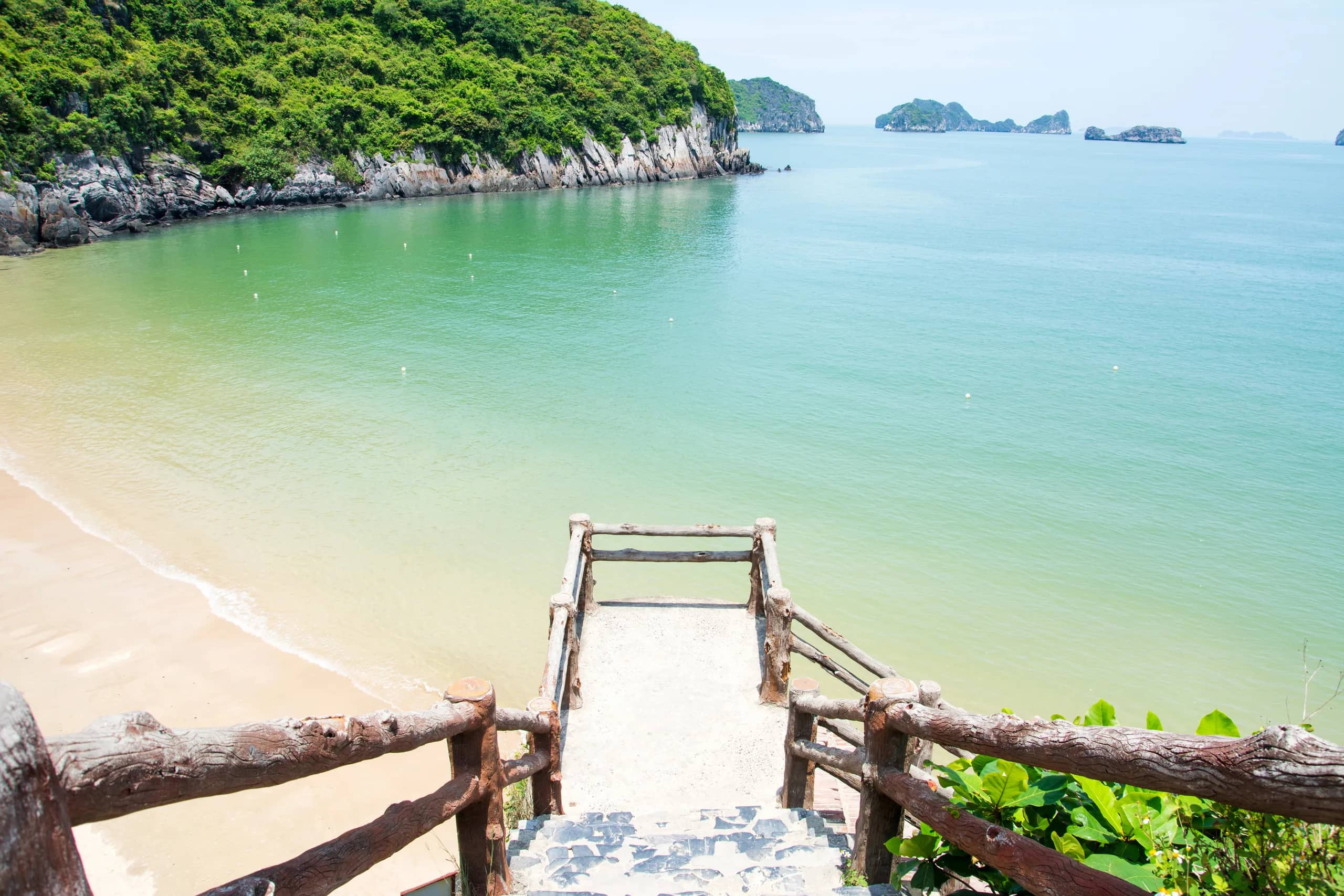 Cat Ba Island Nightlife: What to Do at Night