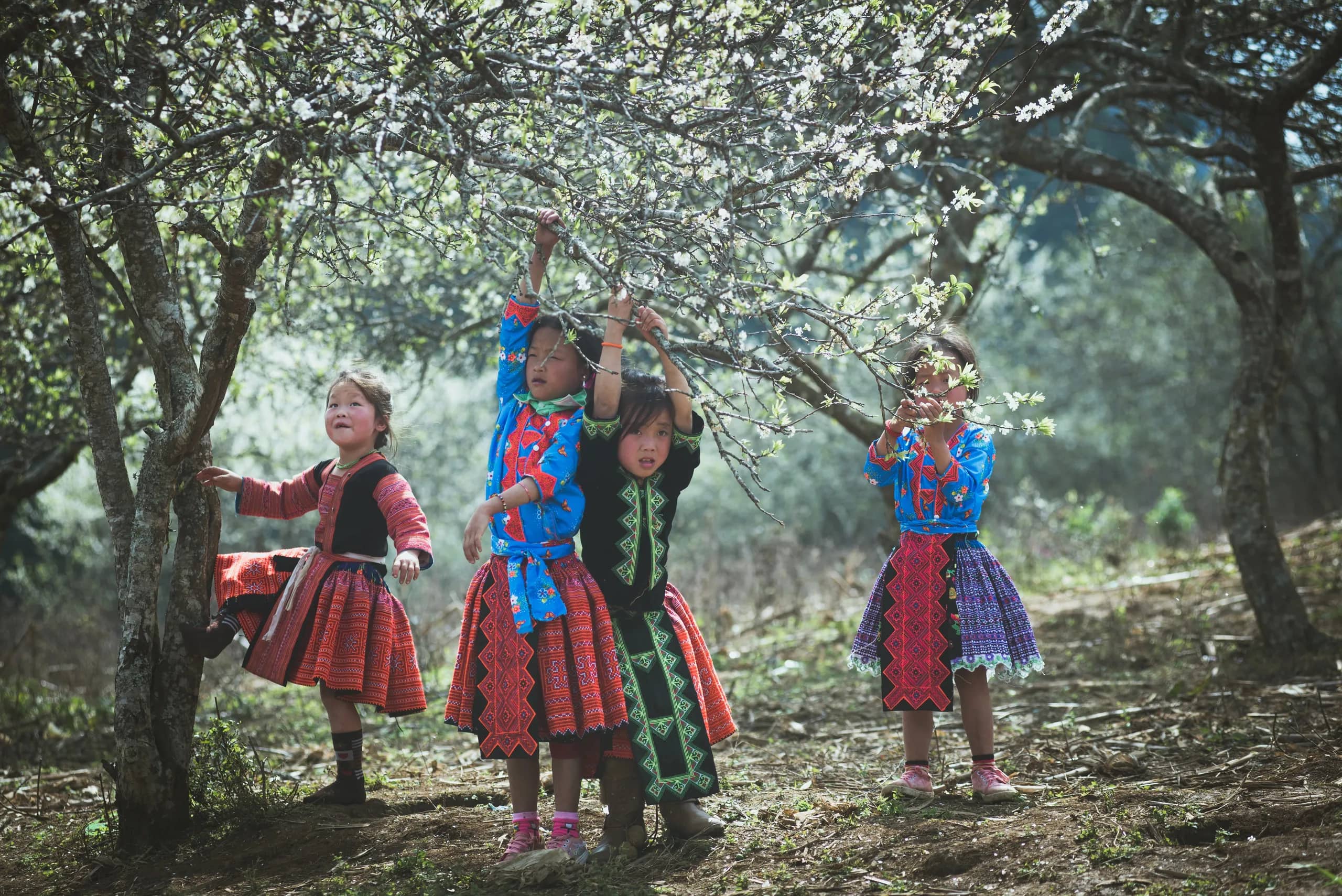 Best photography locations in Hà Giang: Timing and light guide