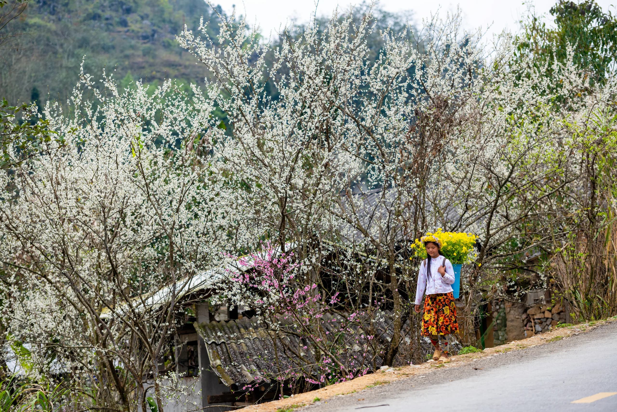 Hà Giang Rainy Day Activities: What to Do When it Pours