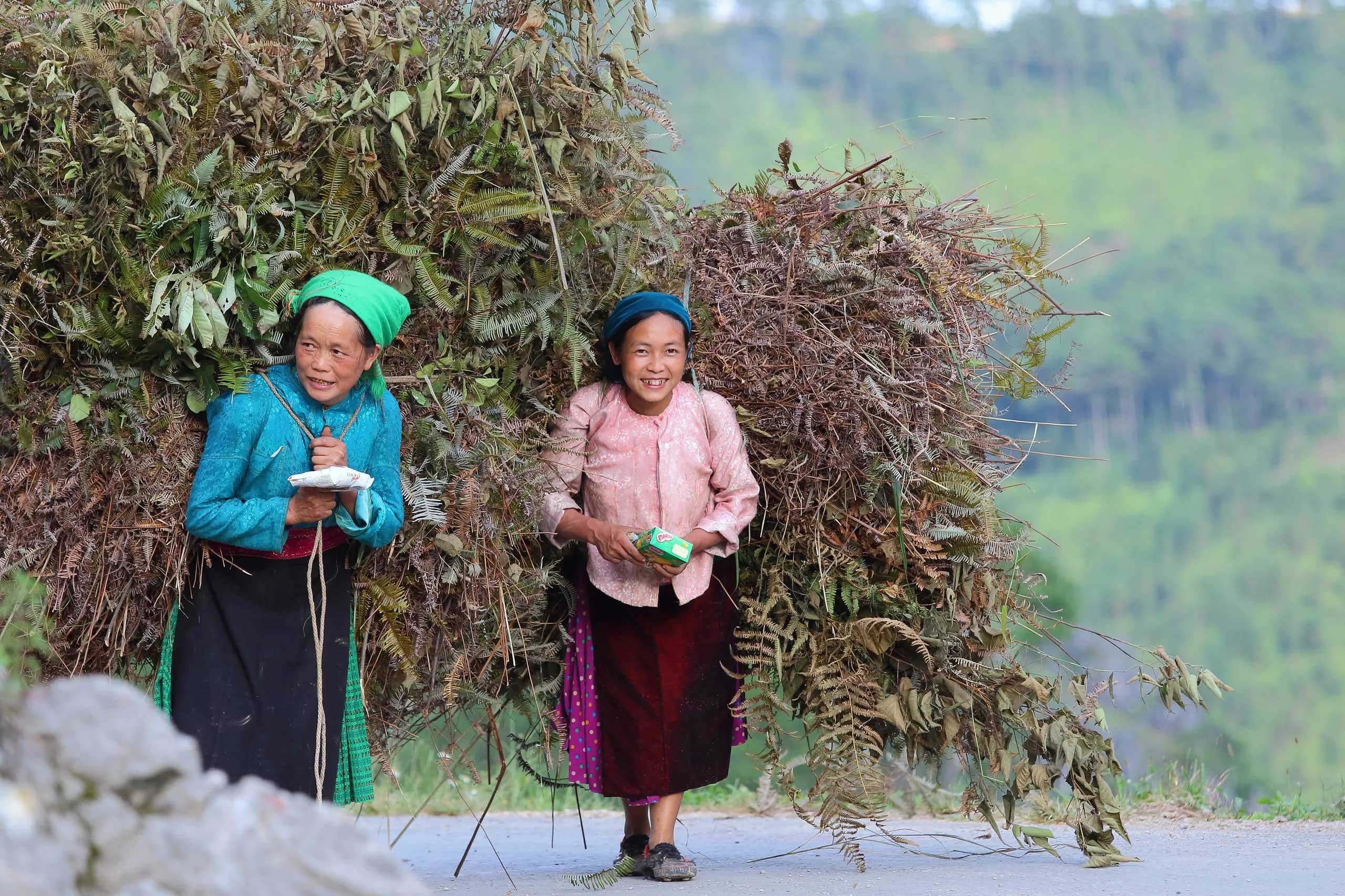 Hà Giang nearby places to visit: Ba Bể Lake and Cao Bằng