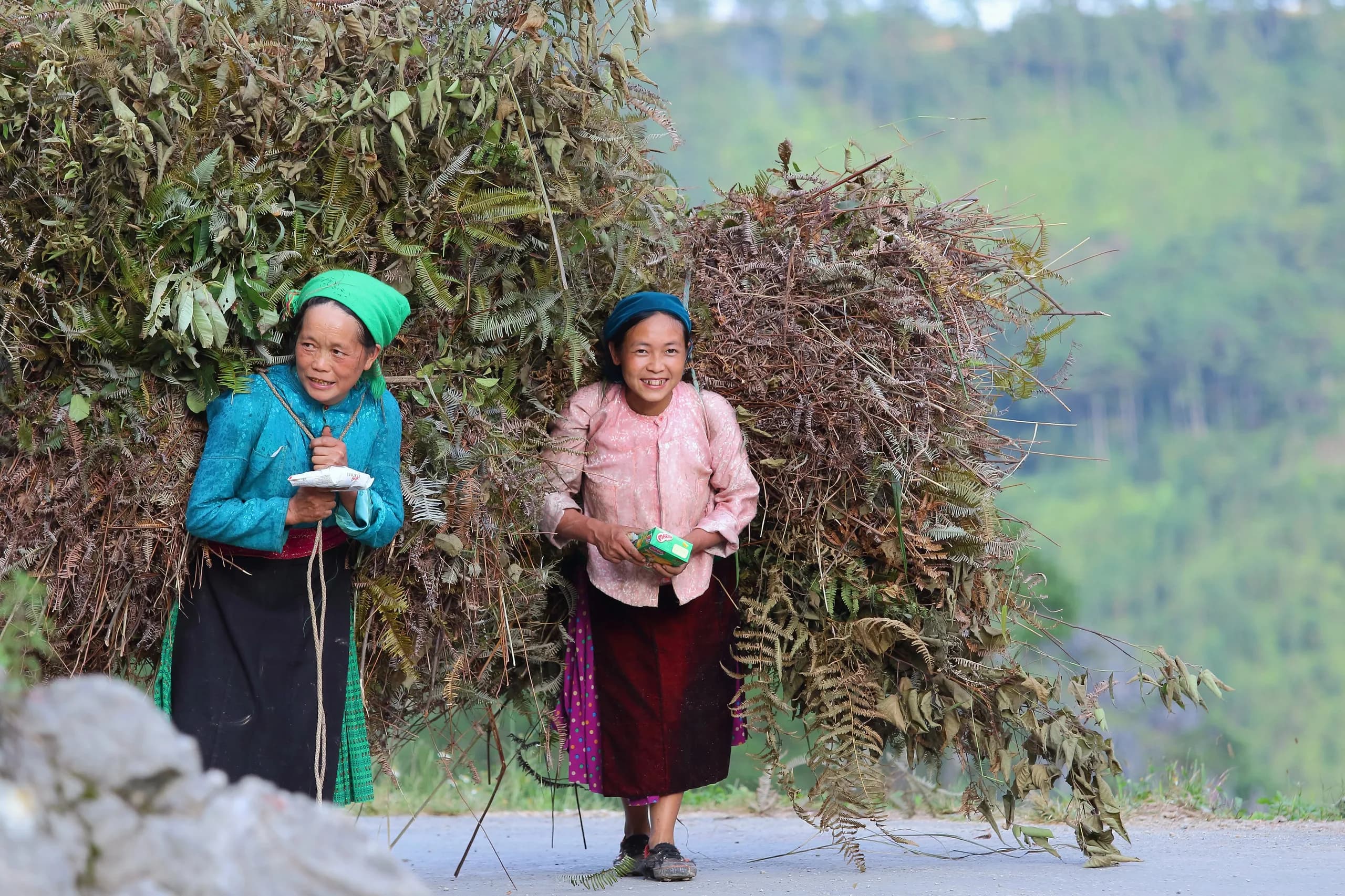 Hà Giang nearby places to visit: Ba Bể Lake and Cao Bằng