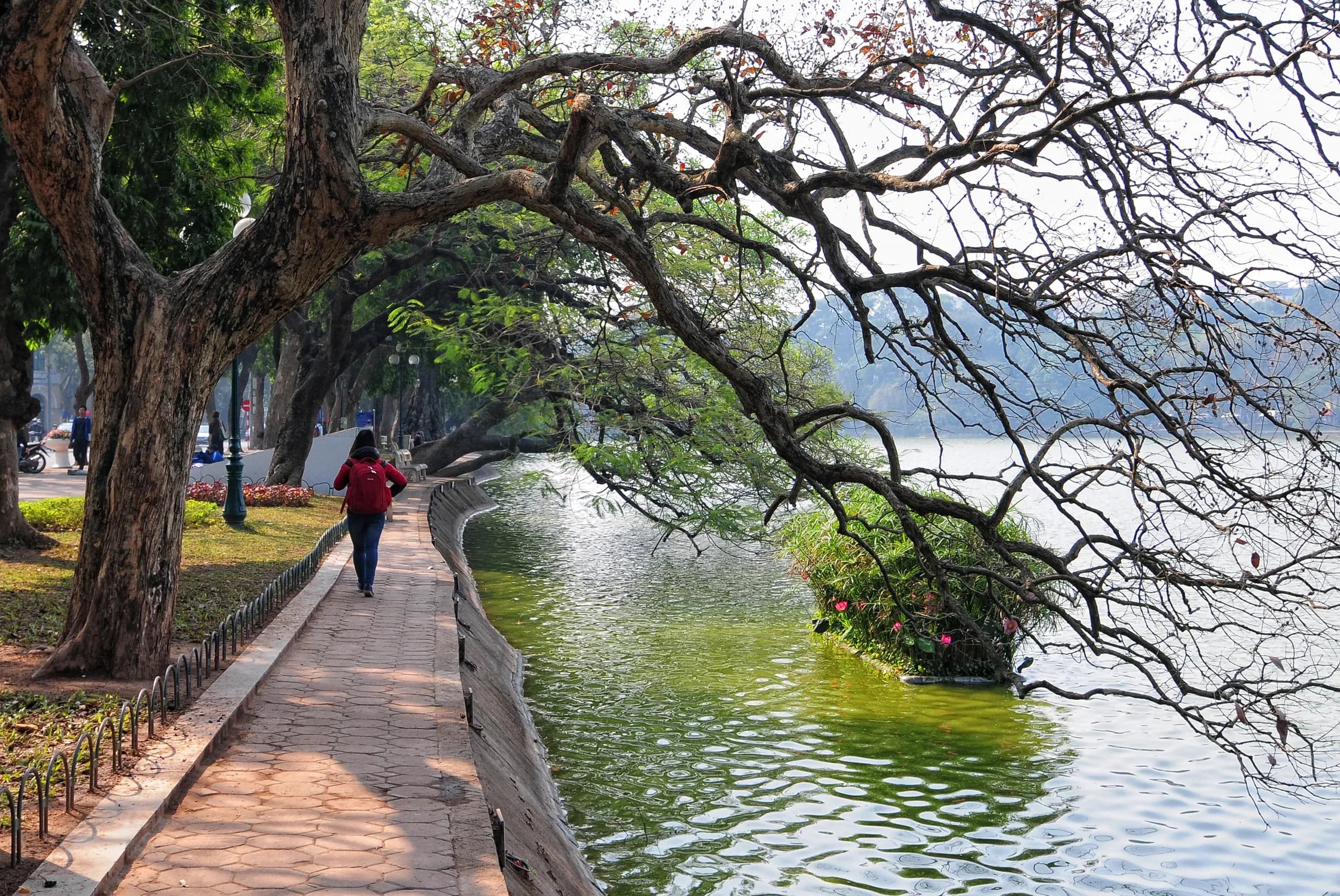 How to Get to Hà Giang from Hà Nội: Route Options and Journey Times