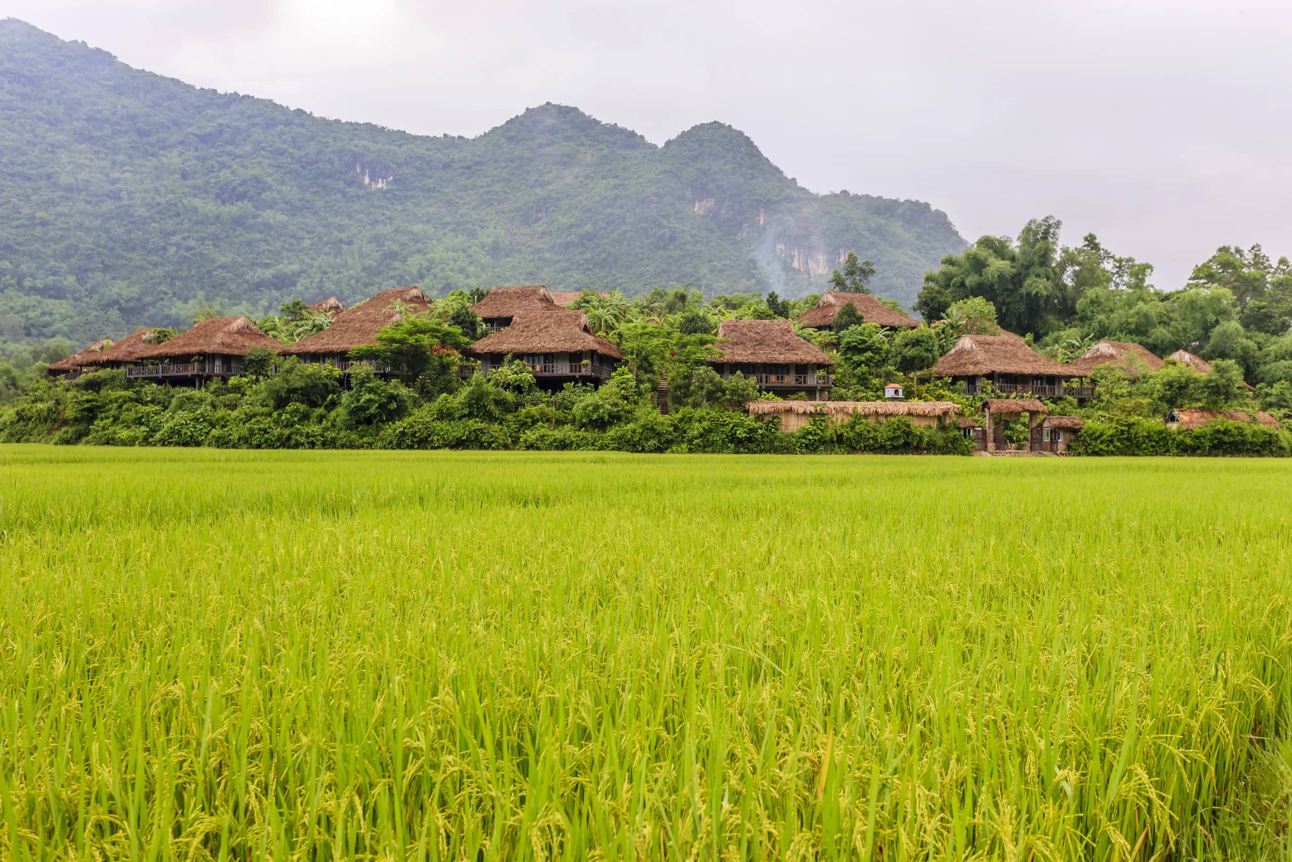 Best Photography Locations in Mai Châu: Light and Timing Guide