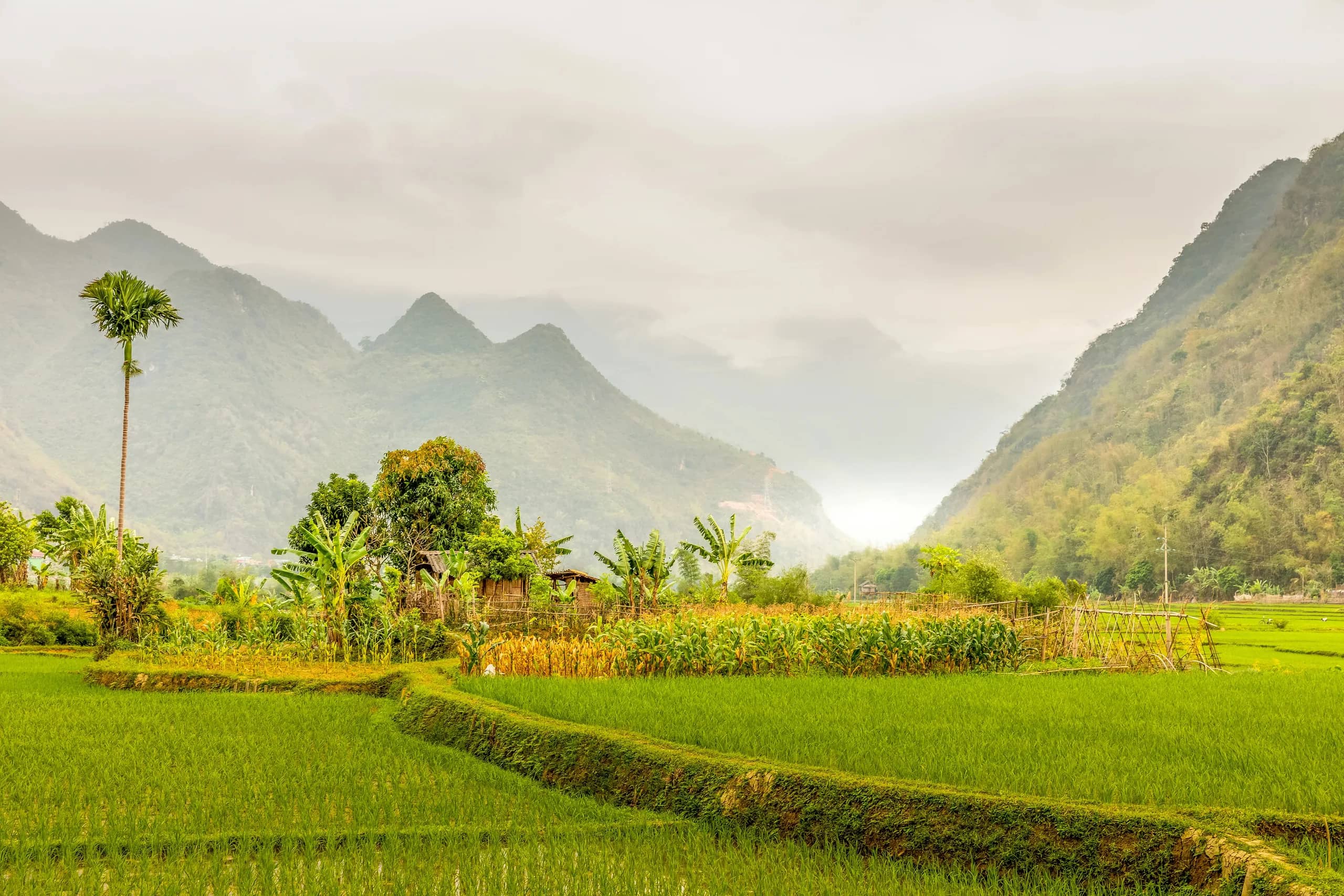 Best Festivals in Mai Châu Vietnam: A Seasonal Guide