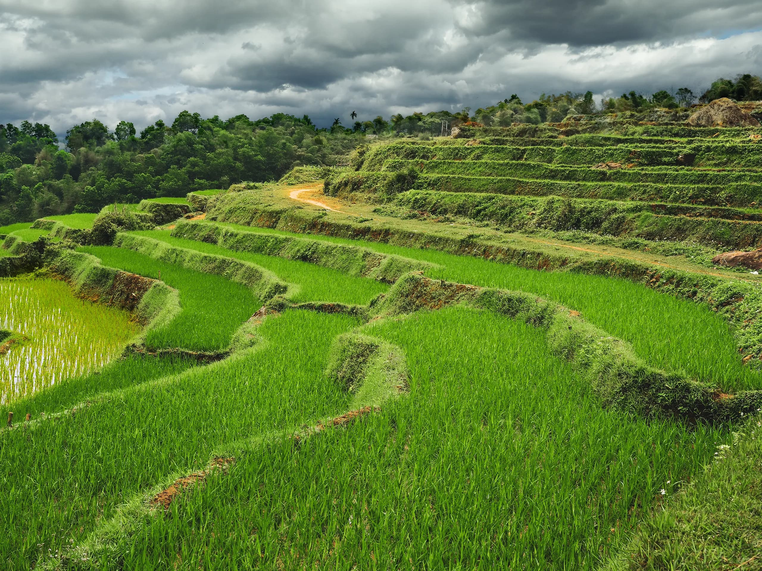 Mai Châu Pù Luông Travel Guide from Hà Nội: Valleys Near the Capital — Phú Thọ