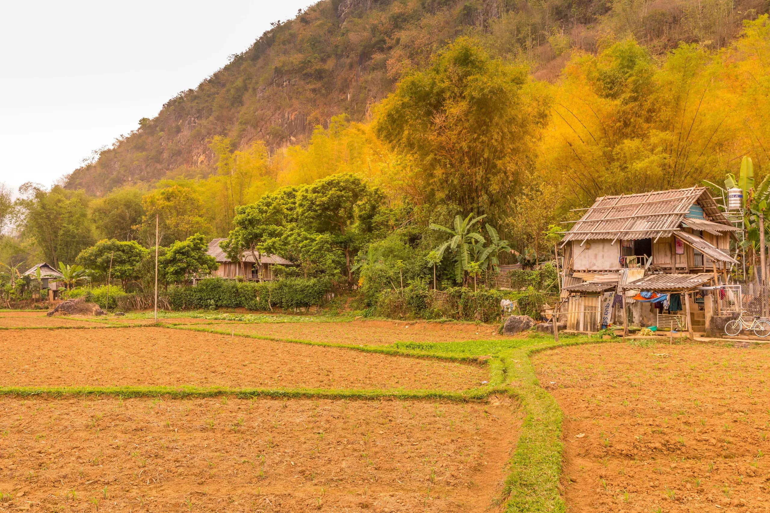 Getting Around Mai Châu: Local Transport Options and Honest Prices