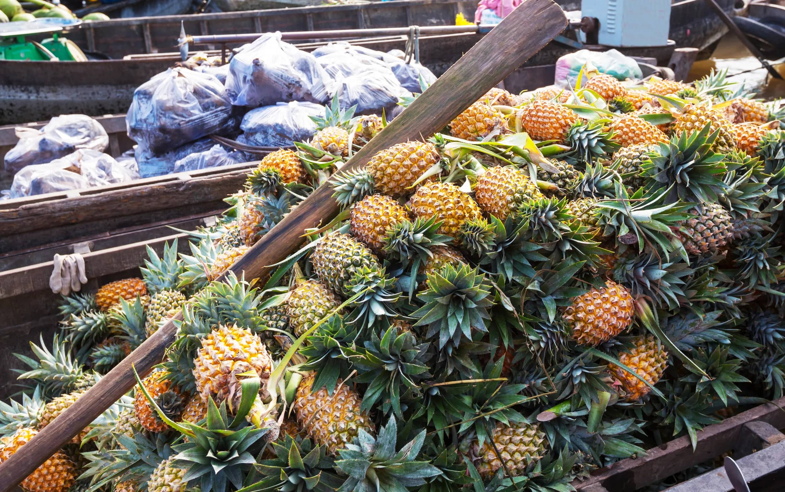 Cycling the Mekong Delta: Routes, Ferries, and Homestays
