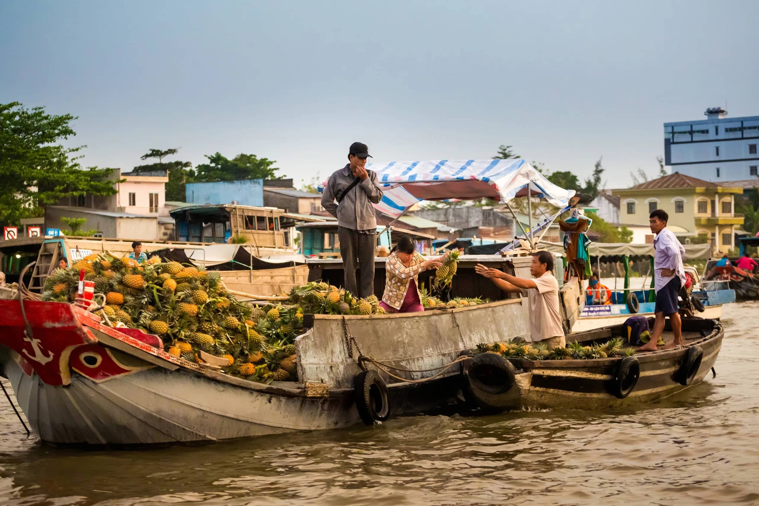 Mekong Delta with Children: Activities to Enjoy and Skip