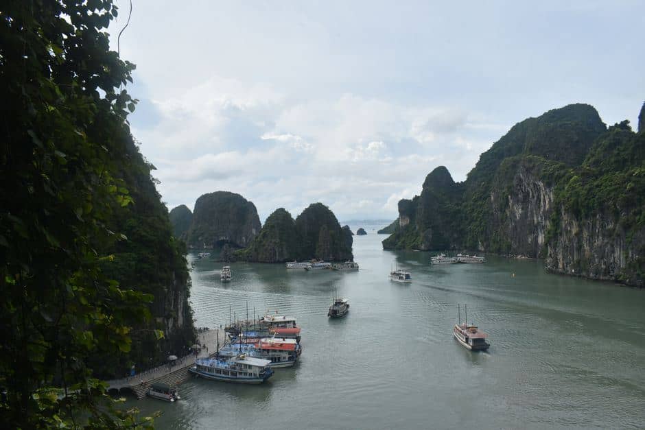 Bái Tử Long Bay after dark: evenings, night markets, and what stays open