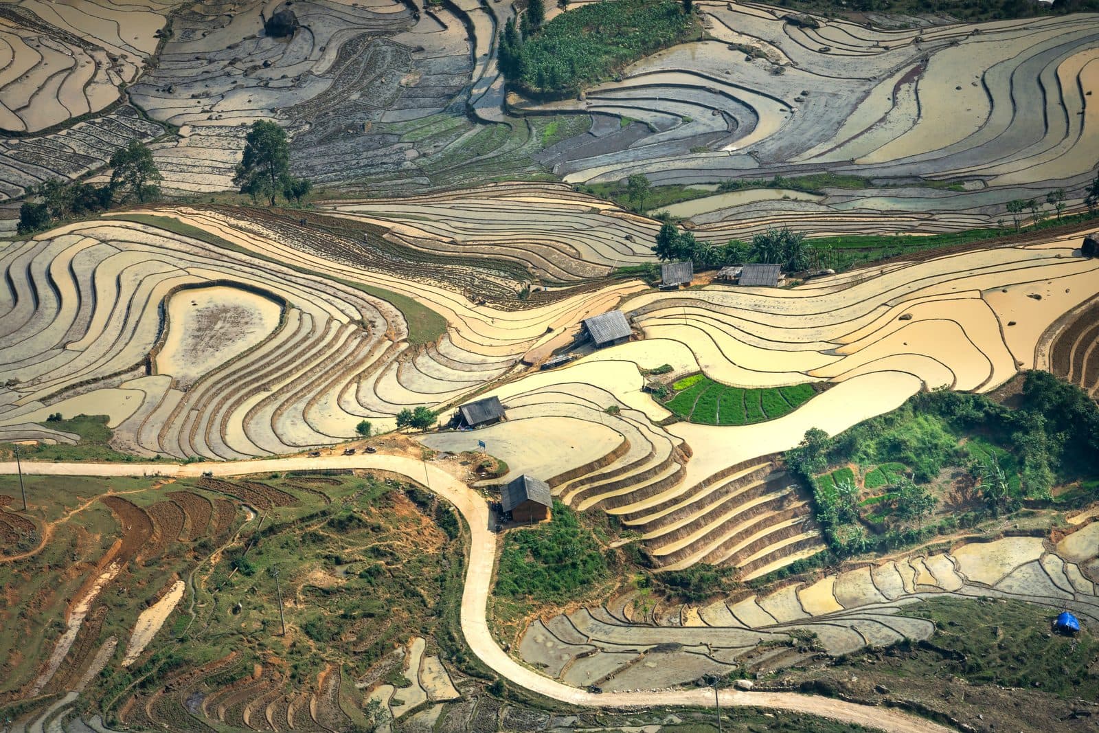 When is the Best Time to Visit Buôn Ma Thuột? — Đắk Lắk
