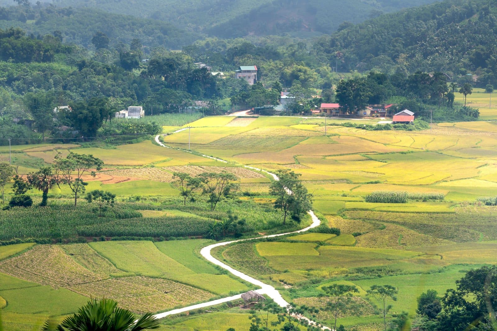 Where to Stay in Buôn Ma Thuột: Areas for Every Traveler