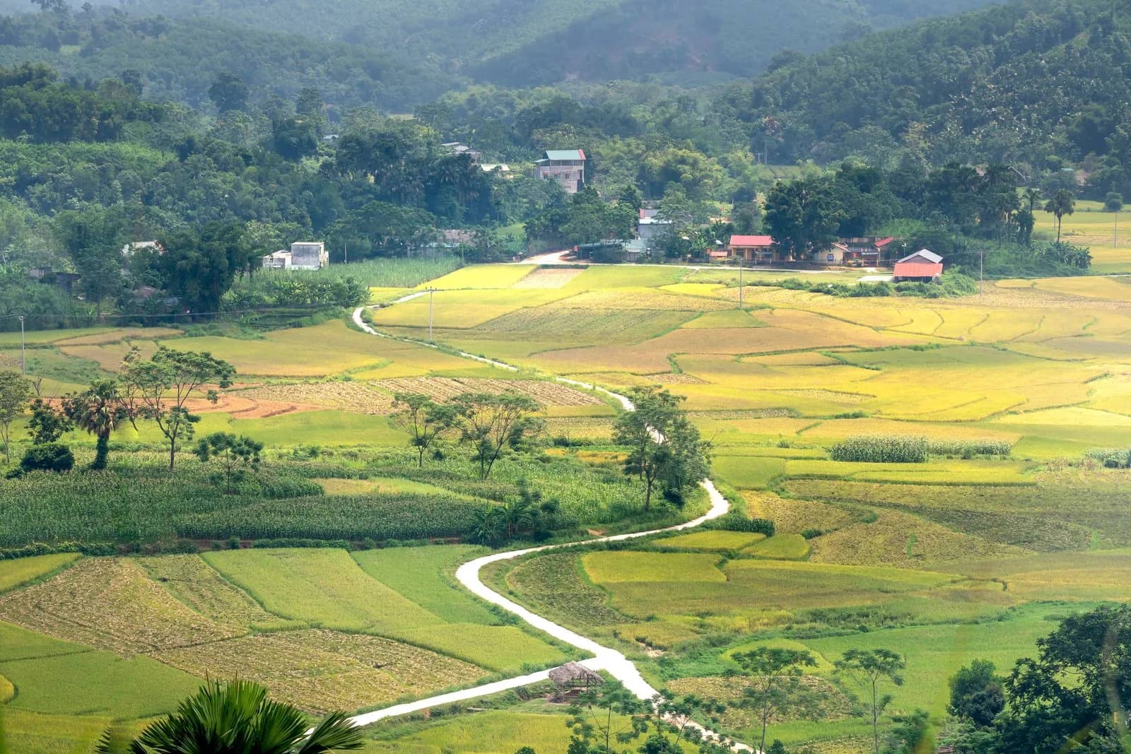 Dónde alojarse en Buôn Ma Thuột: Zonas para cada tipo de viajero