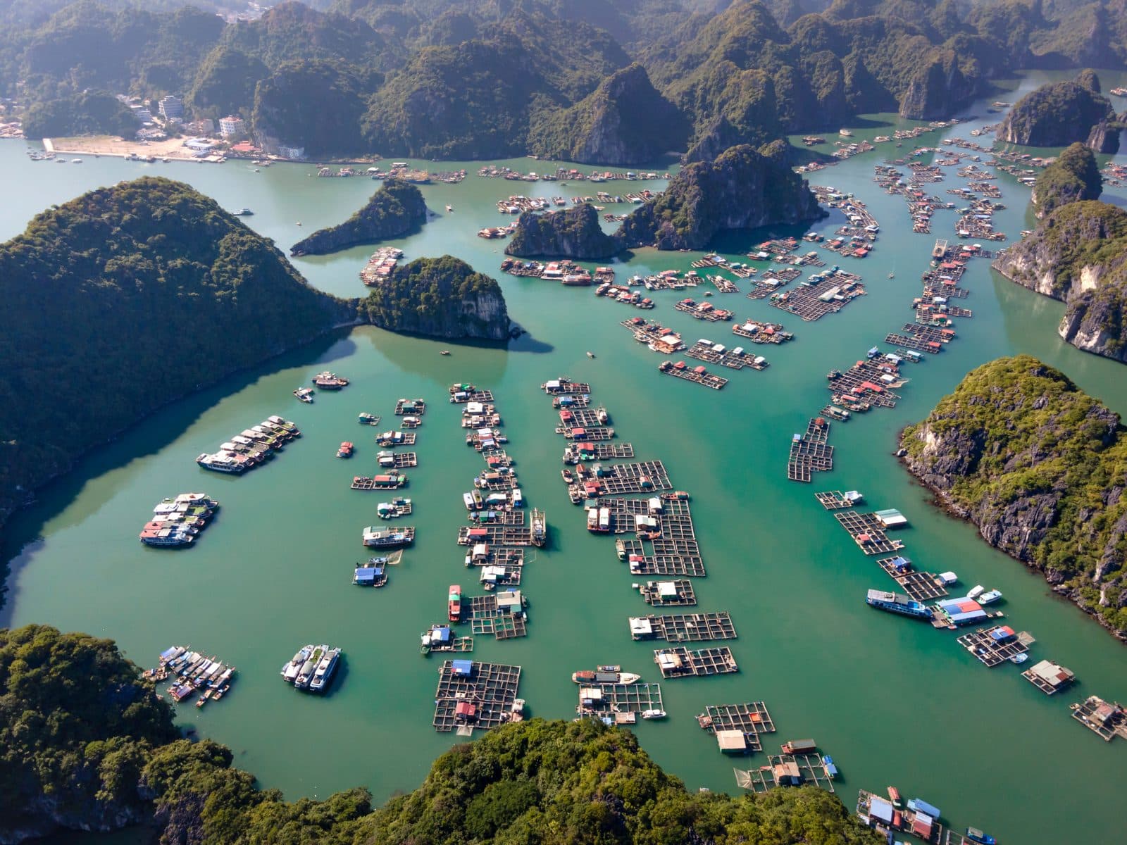 Best Time to Visit Cát Bà Island: A Month-by-Month Guide