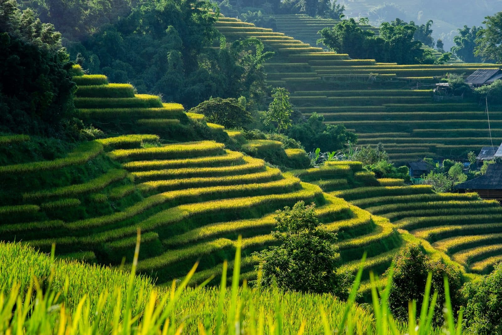 Hải Vân Pass Day Trip Cost: A Guide to Budget, Mid-Range, and Comfort Travel