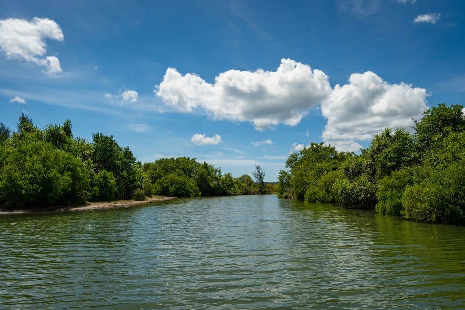 How to visit Gành Đá Đĩa Phú Yên: A practical coastal guide