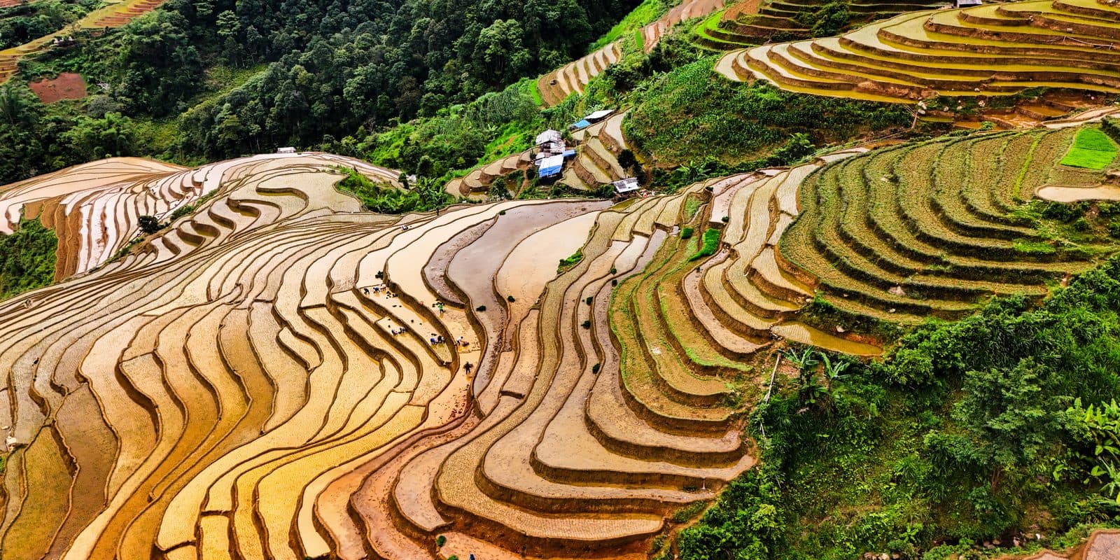The Best Time to Visit Lan Hạ Bay, Month by Month