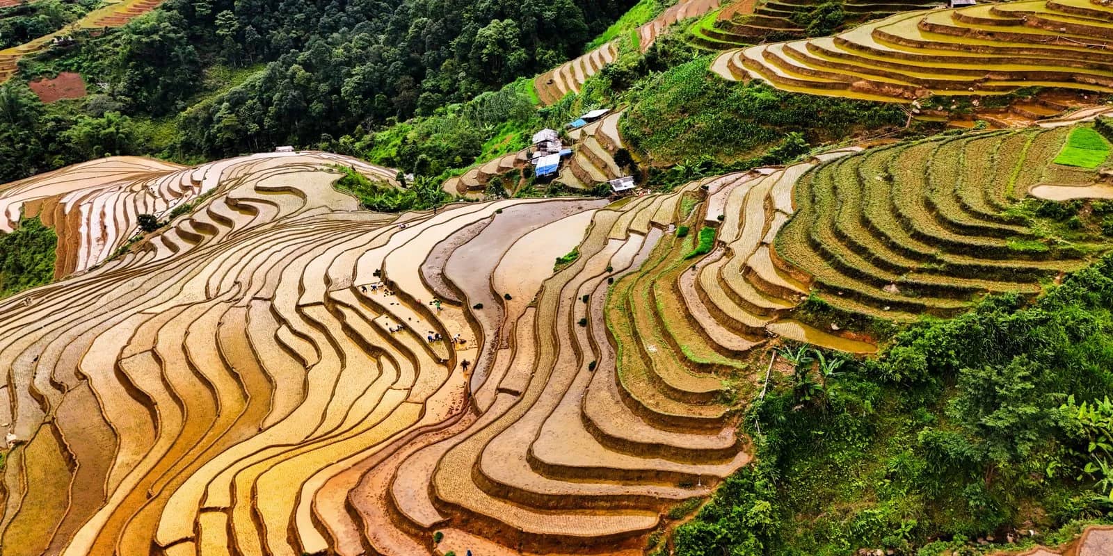 The Best Time to Visit Lan Hạ Bay, Month by Month