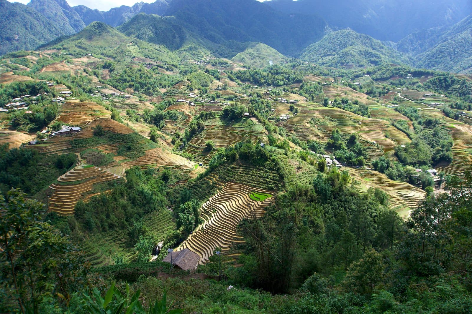 Lan Hạ Bay common travel mistakes: how to avoid them for a smooth trip
