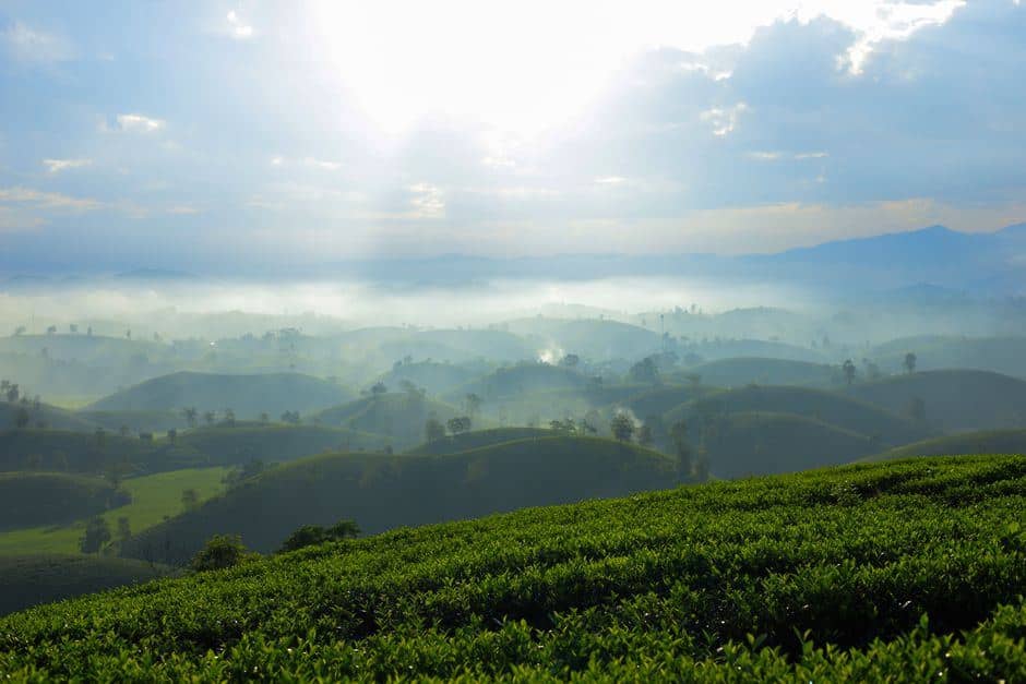 How Many Days to Spend in Mộc Châu: A Practical Planning Guide