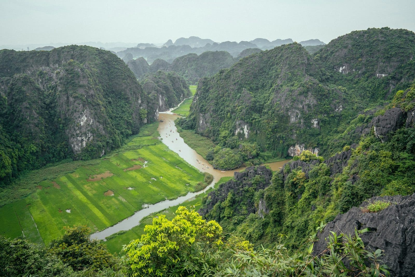 Mỹ Sơn Sanctuary First-Time Visitor Tips: What to Know
