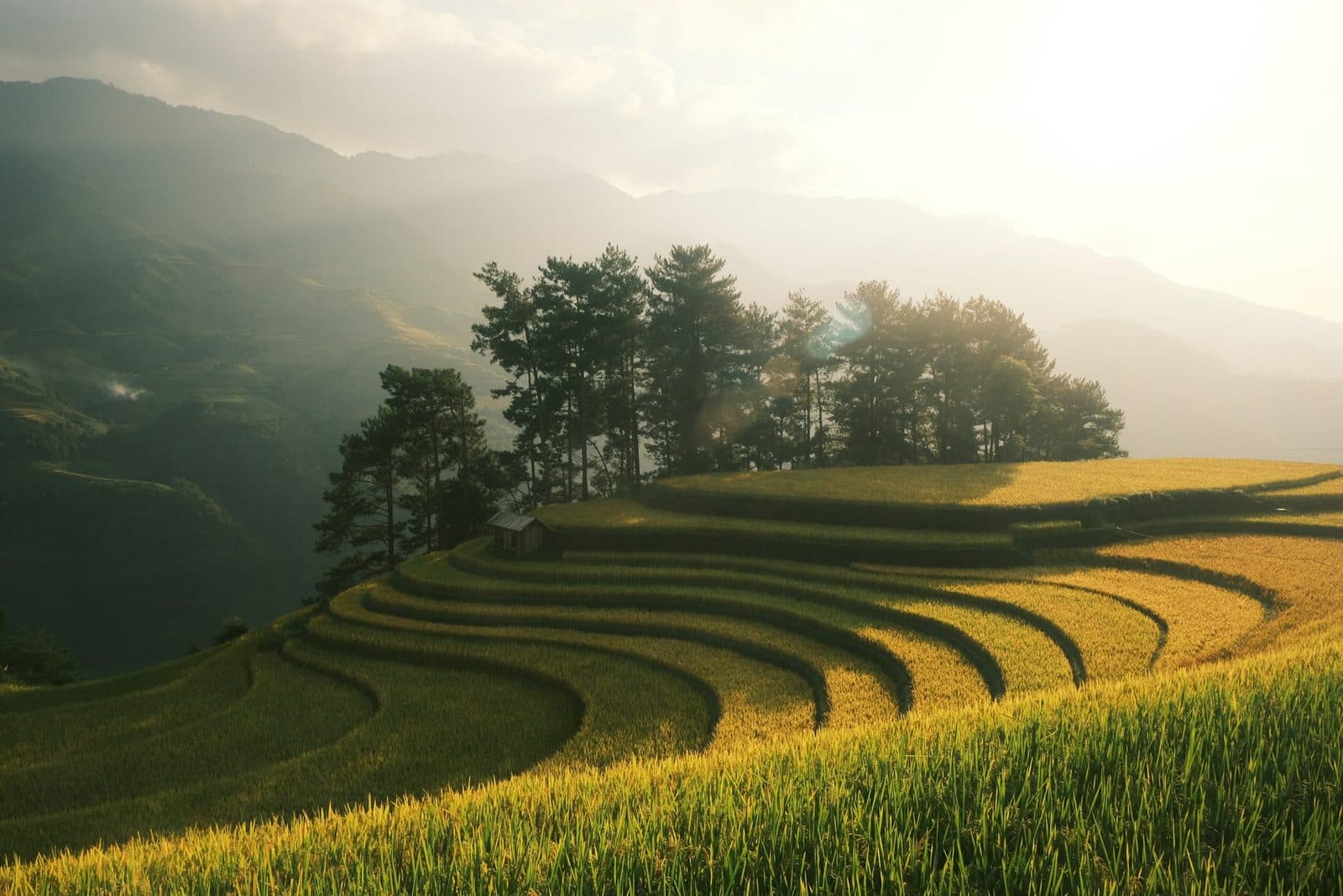 Mỹ Sơn Sanctuary: History and How to Visit Before the Crowds