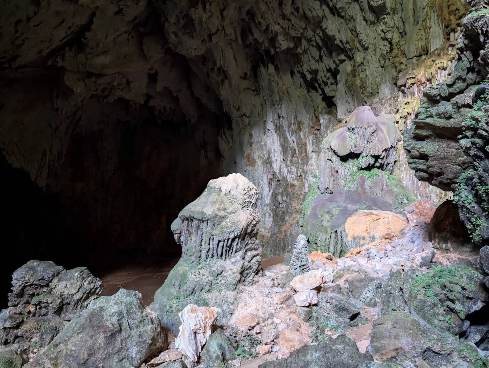 How to get to Măng Đen Vietnam: A practical travel guide