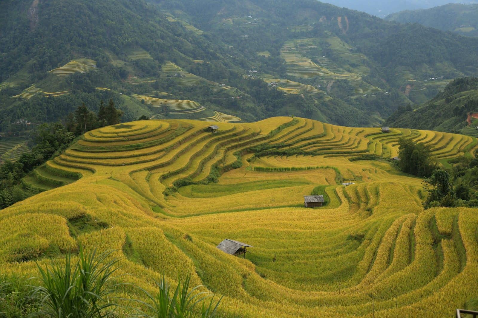 Places to Visit Near Pù Luông Nature Reserve: Easy Detours