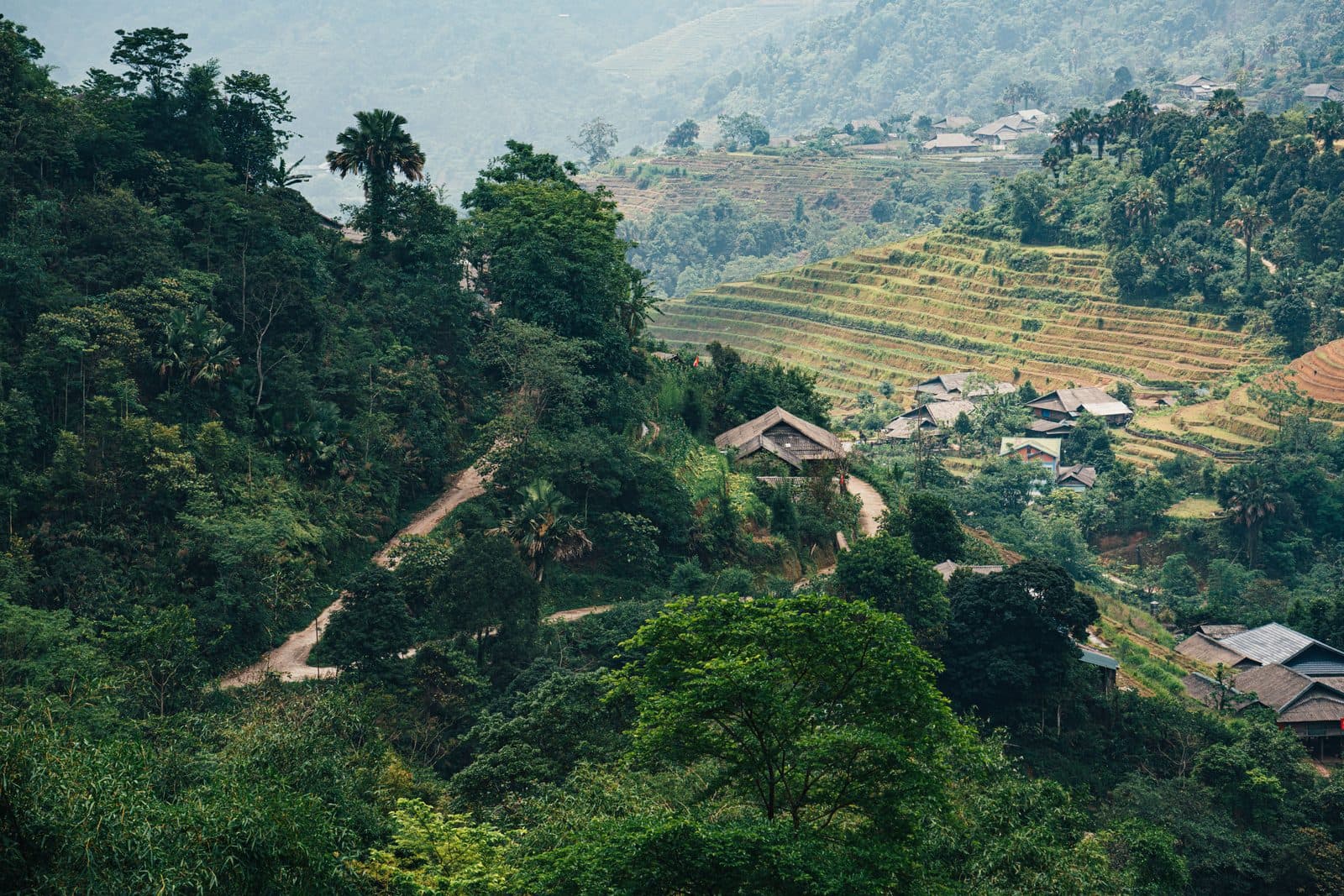 Best Time to Visit Pù Luông Month by Month: A Seasonal Guide — Thanh Hóa