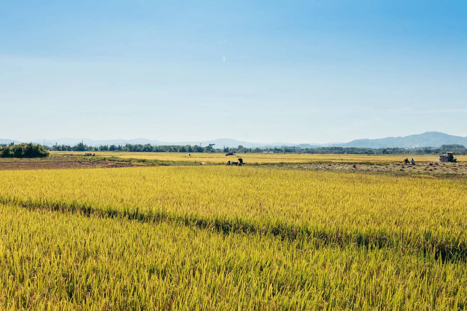 How Many Days to Spend in Pù Luông: A Trip Planner Guide