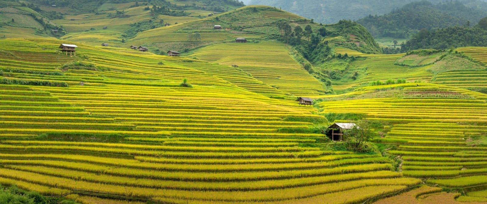 Sa Pa for First-Time Visitors: What to Know Before You Go