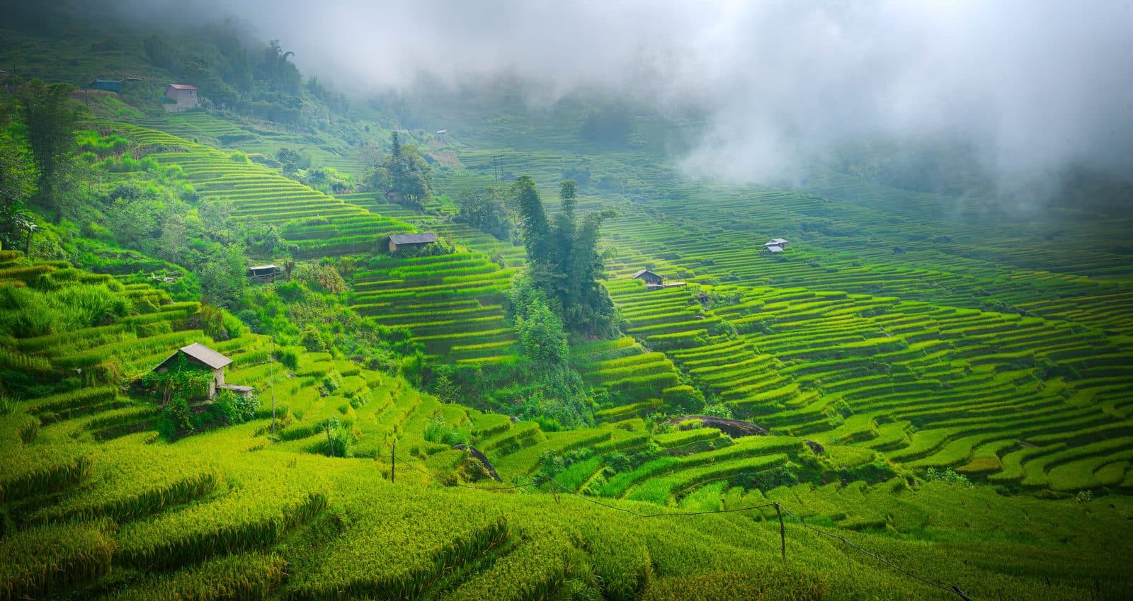 Vietnam Daily Travel Cost: What to Expect Per Person