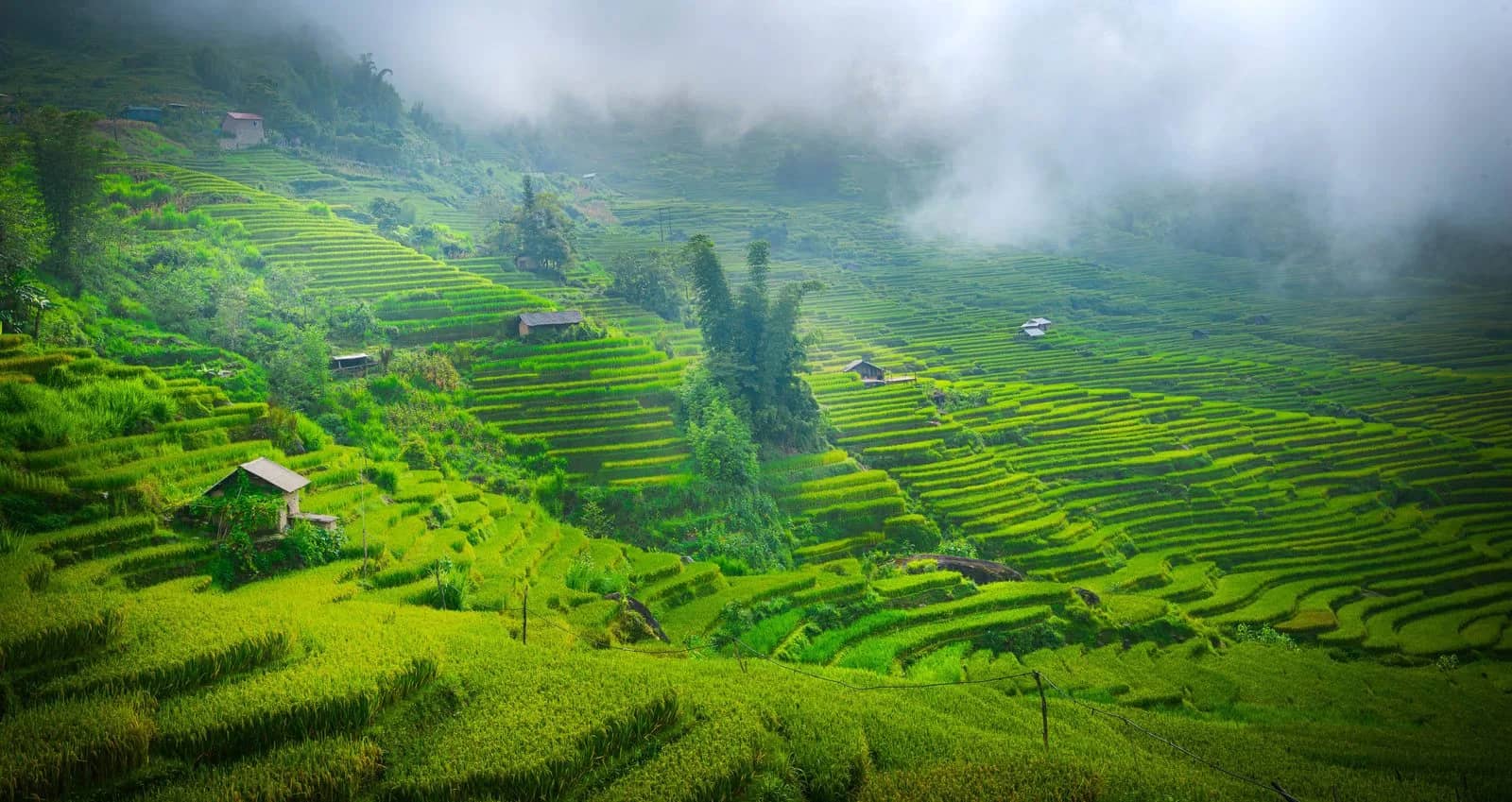 Vietnam Reunification Express Train Itinerary: A Stop-by-Stop Guide