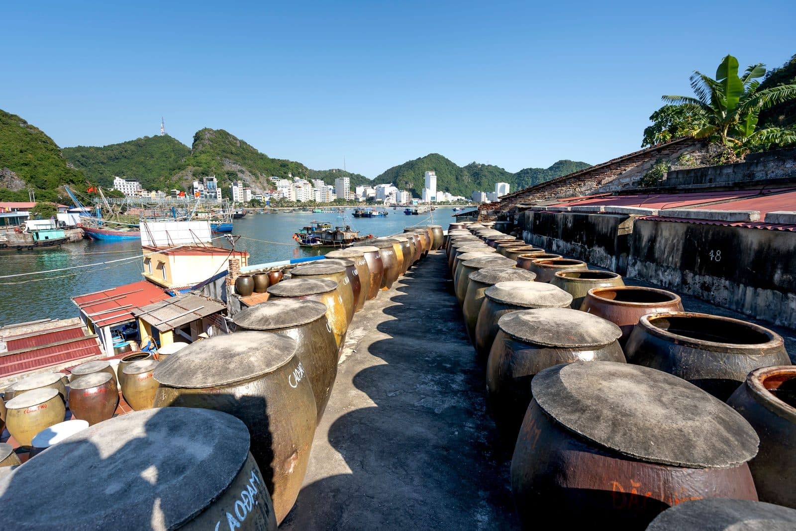 吉婆岛周边活动:旅行者的便捷周边游