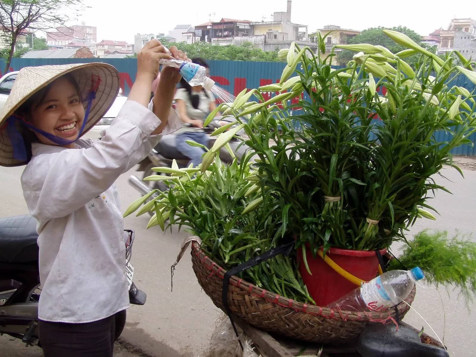 How to Get to Tam Đảo from Hà Nội: A Practical Travel Guide