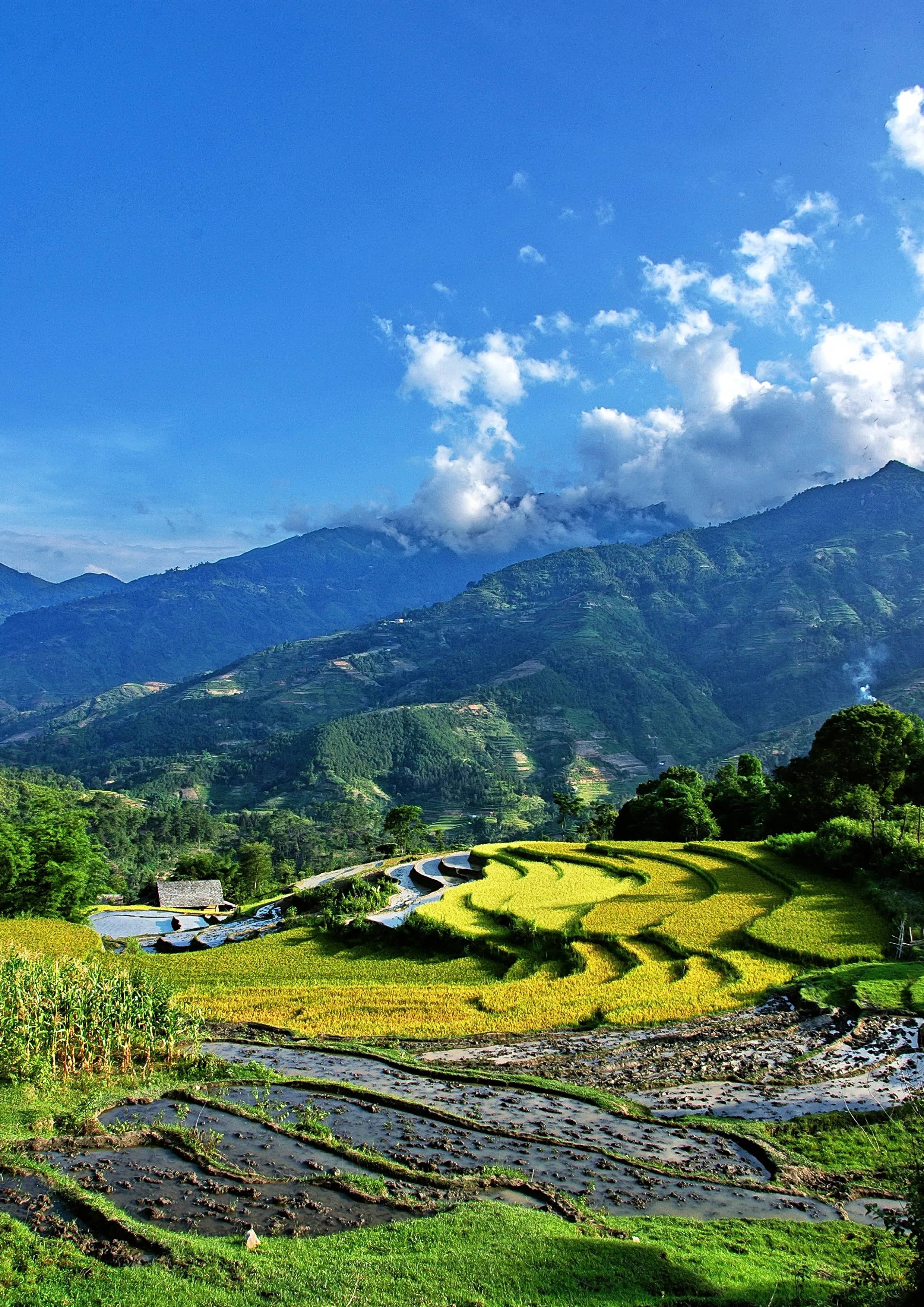 How to Get Around Sa Pa: Local Transport Options and Prices